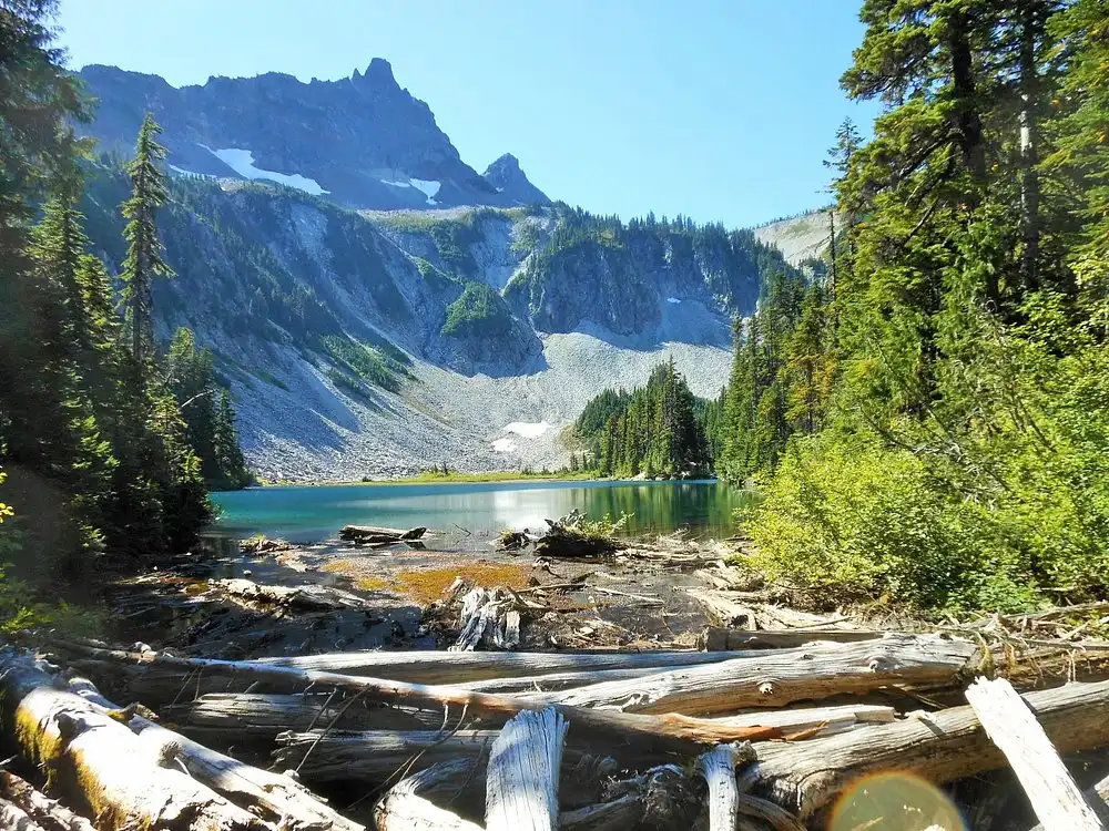 Bench and Snow Lake Trail