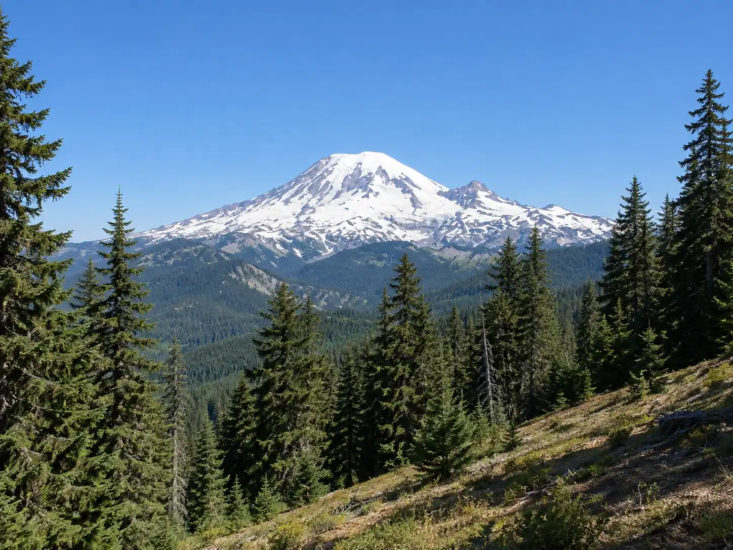 Backbone Ridge
