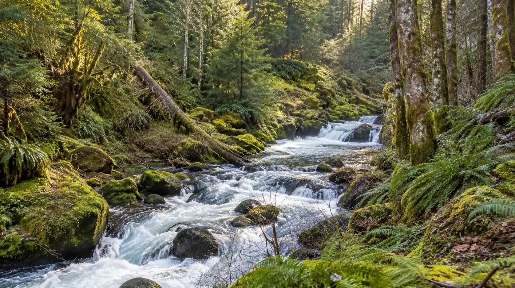Copper Creek Falls