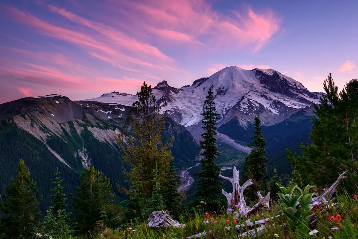 The Best Time to Visit Mt. Rainier National Park: A Season-by-Season Guide 
