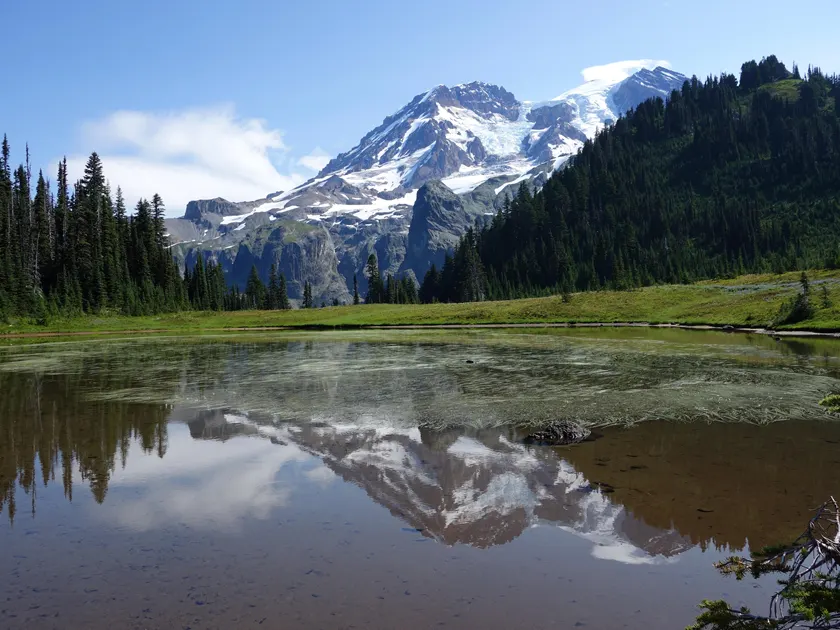 The Ultimate Guide to Visiting Mt. Rainier National Park from Ashford, WA (2026 Guide) 
